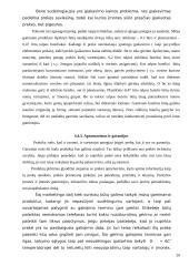 Pieno – sulčių gėrimo įvedimo į maisto pramonės rinką marketingo programa 20 puslapis