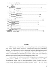 Pieno – sulčių gėrimo įvedimo į maisto pramonės rinką marketingo programa 3 puslapis