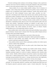 Pieno – sulčių gėrimo įvedimo į maisto pramonės rinką marketingo programa 5 puslapis