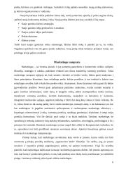 Pieno – sulčių gėrimo įvedimo į maisto pramonės rinką marketingo programa 6 puslapis