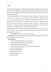 Kūrybinis mąstymas piešimo pamokose 2 puslapis