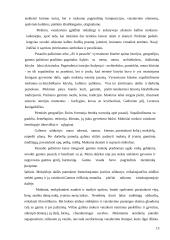 Kūrybinis mąstymas piešimo pamokose 13 puslapis