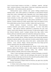 Kūrybinis mąstymas piešimo pamokose 14 puslapis