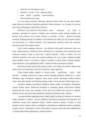 Kūrybinis mąstymas piešimo pamokose 15 puslapis