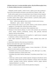 Kūrybinis mąstymas piešimo pamokose 17 puslapis