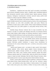 Kūrybinis mąstymas piešimo pamokose 3 puslapis