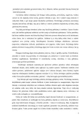 Kūrybinis mąstymas piešimo pamokose 5 puslapis