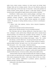 Kūrybinis mąstymas piešimo pamokose 8 puslapis