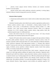 Pokyčio poreikio nustatymas ir inicijavimas 5 puslapis