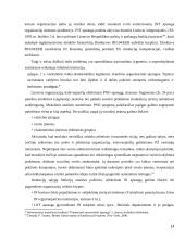 Pramoninės nuosavybės teisių apsauga taikant muitinės priežiūros priemones 14 puslapis