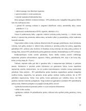 Pramoninės nuosavybės teisių apsauga taikant muitinės priežiūros priemones 17 puslapis