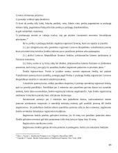 Pramoninės nuosavybės teisių apsauga taikant muitinės priežiūros priemones 20 puslapis