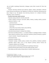 Pramoninės nuosavybės teisių apsauga taikant muitinės priežiūros priemones 10 puslapis