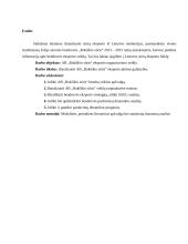 AB „Rokiškio sūris“ eksporto organizavimo veikla 2 puslapis