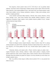 AB „Rokiškio sūris“ eksporto organizavimo veikla 5 puslapis
