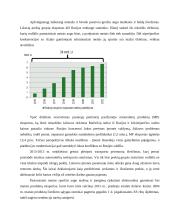 AB „Rokiškio sūris“ eksporto organizavimo veikla 6 puslapis