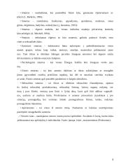 Valstybės ir visuomeninių organizacijų bendradarbiavimas sprendžiant smurto prieš moteris problemą 3 puslapis