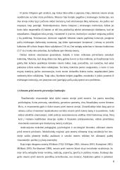 Valstybės ir visuomeninių organizacijų bendradarbiavimas sprendžiant smurto prieš moteris problemą 6 puslapis