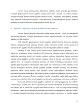 Privalomas advokato atstovavimas apeliaciniame procese 13 puslapis