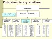 Produkto strategija 11 puslapis