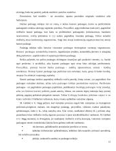 Profesinis etiketas ir jo įtaka viešbučių veiklos rezultatams 15 puslapis