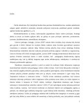 Profesinis pedagogų tobulėjimas besimokančioje mokyklos bendruomenėje 2 puslapis