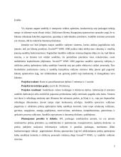 Projekto analizė 2 puslapis