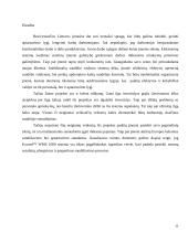 Projekto analizė 11 puslapis