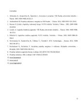 Projekto analizė 12 puslapis