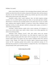 Projekto analizė 3 puslapis