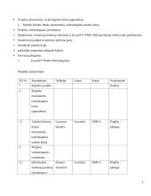 Projekto analizė 5 puslapis