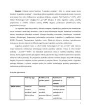 Projekto analizė 7 puslapis