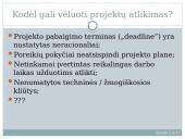 Projekto planavimas 2 puslapis