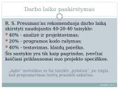 Projekto planavimas 11 puslapis