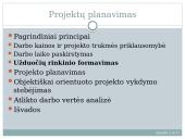 Projekto planavimas 12 puslapis