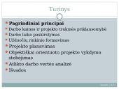 Projekto planavimas 3 puslapis