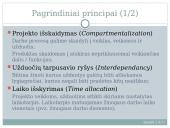 Projekto planavimas 4 puslapis