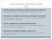 Projekto planavimas 5 puslapis