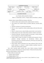Projektų ir programų rengimas empirinis požiūris 11 puslapis