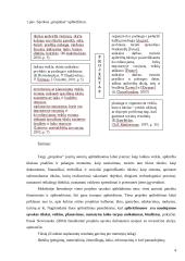 Projektų ir programų rengimas empirinis požiūris 4 puslapis