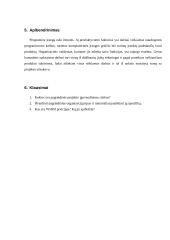 Projektų valdymas (Project management) 13 puslapis