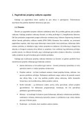 Projektų valdymas (Project management) 4 puslapis