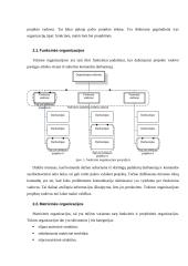 Projektų valdymas (Project management) 7 puslapis