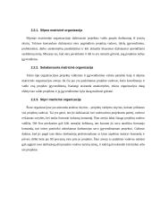 Projektų valdymas (Project management) 8 puslapis