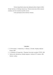 Projektų planavimo principai 11 puslapis