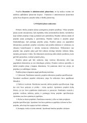 Projektų planavimo principai 5 puslapis