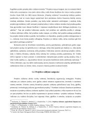 Projektų valdymas X organizacijoje 10 puslapis