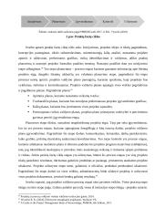 Projektų valdymas X organizacijoje 13 puslapis