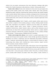 Projektų valdymas X organizacijoje 17 puslapis