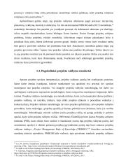 Projektų valdymas X organizacijoje 18 puslapis